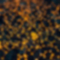 A complex blockchain network visualization